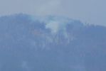 PICTURES/Mount Scott Hike - Crater Lake National Park/t_Fire _5.JPG